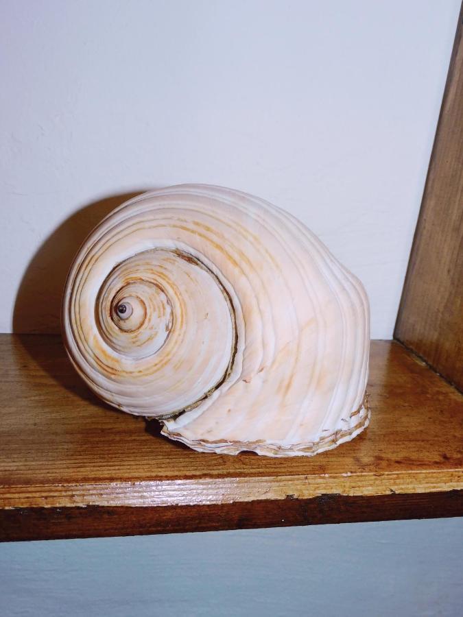 פולינאנו א מארה Casetta Via Mare מראה חיצוני תמונה